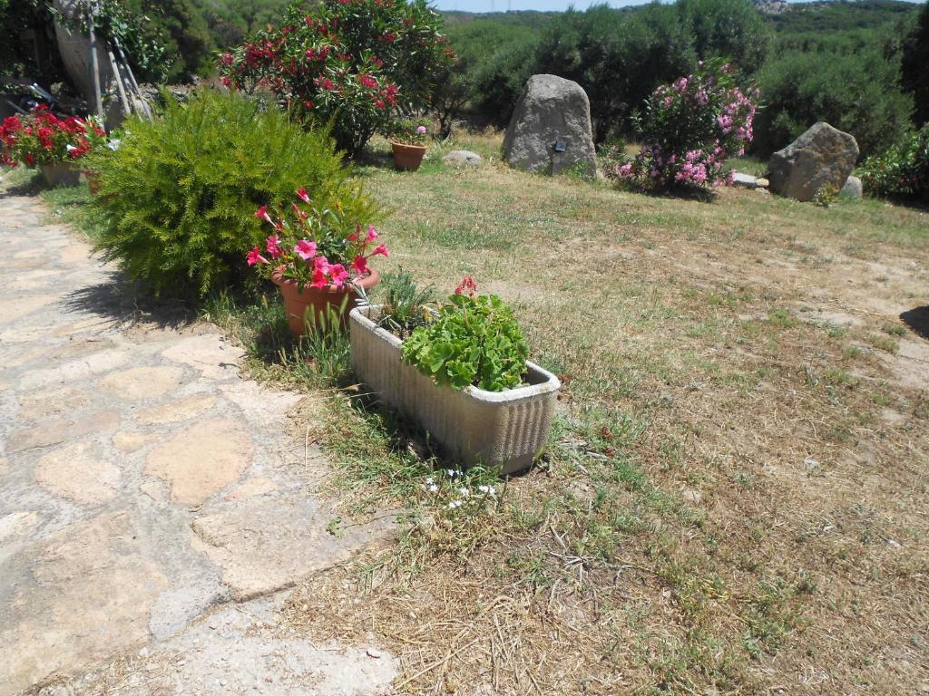 B&B L' Incantu Santa Teresa Gallura Exterior photo
